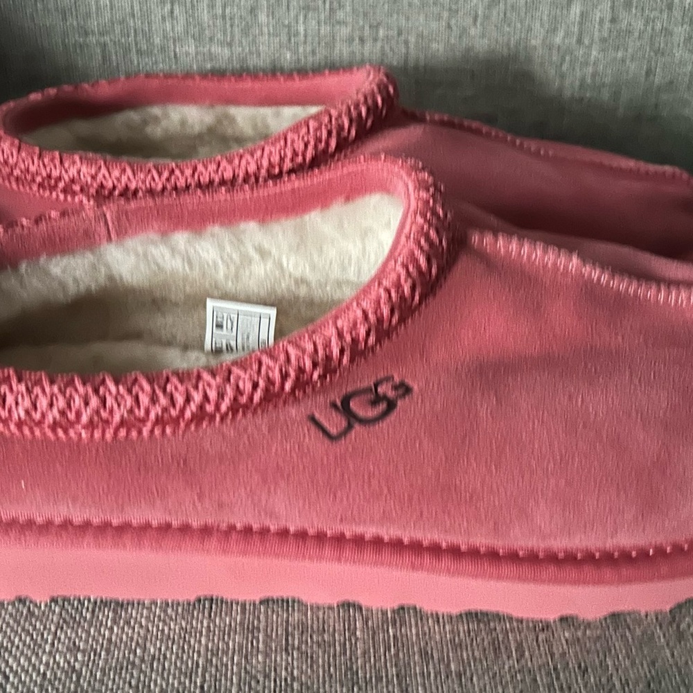 Tazman Uggs